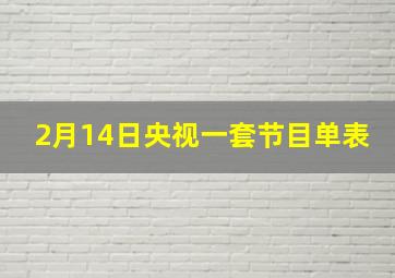 2月14日央视一套节目单表