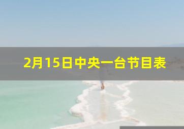 2月15日中央一台节目表