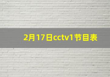 2月17日cctv1节目表