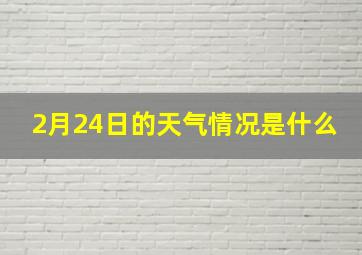 2月24日的天气情况是什么