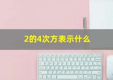 2的4次方表示什么