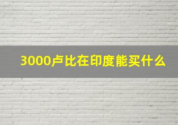 3000卢比在印度能买什么