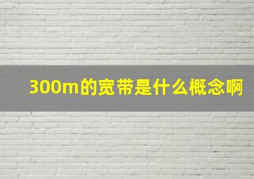 300m的宽带是什么概念啊