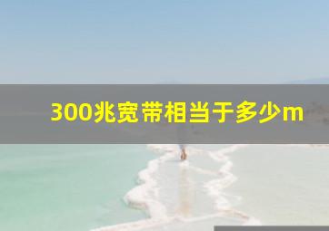 300兆宽带相当于多少m