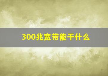 300兆宽带能干什么