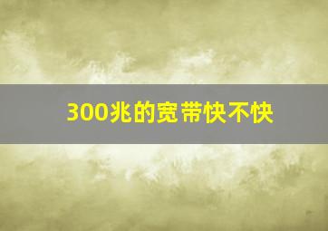 300兆的宽带快不快