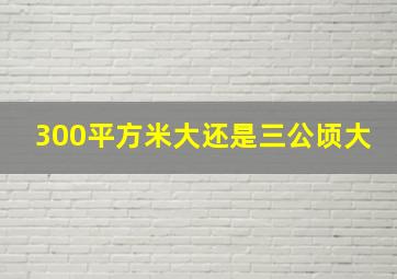 300平方米大还是三公顷大