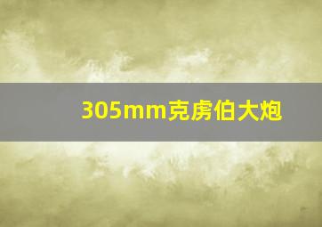 305mm克虏伯大炮