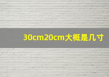 30cm20cm大概是几寸