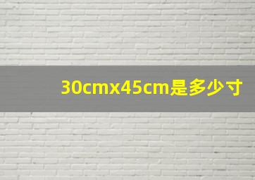 30cmx45cm是多少寸