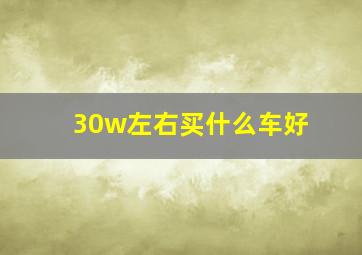 30w左右买什么车好