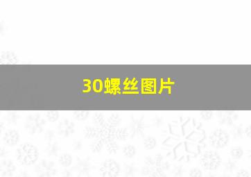 30螺丝图片