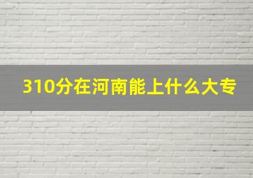 310分在河南能上什么大专