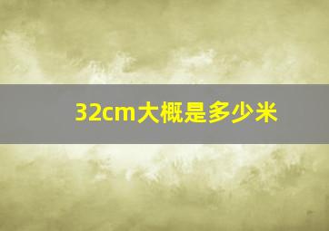 32cm大概是多少米