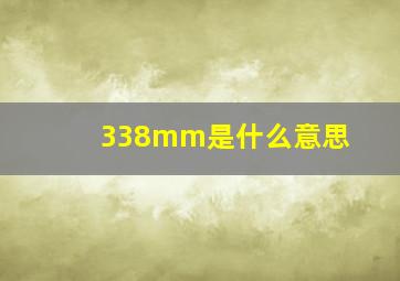 338mm是什么意思