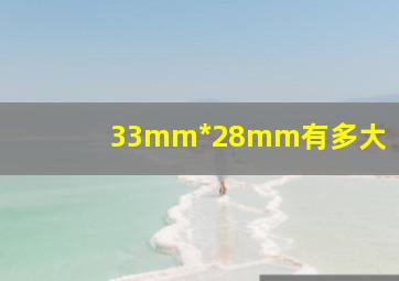 33mm*28mm有多大