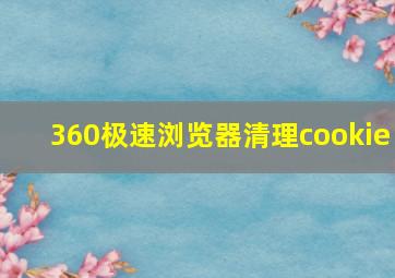 360极速浏览器清理cookie