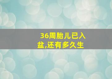 36周胎儿已入盆,还有多久生