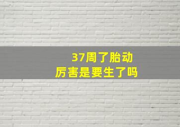 37周了胎动厉害是要生了吗