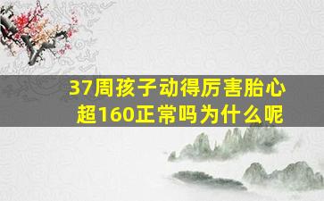 37周孩子动得厉害胎心超160正常吗为什么呢