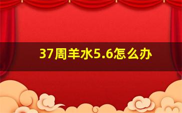 37周羊水5.6怎么办