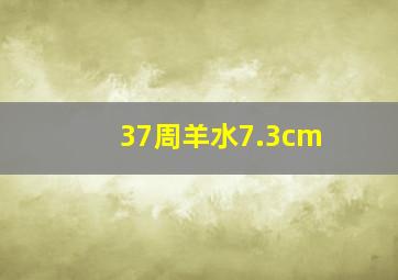 37周羊水7.3cm