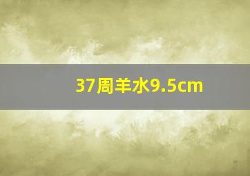 37周羊水9.5cm