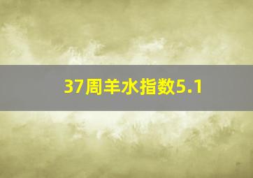 37周羊水指数5.1