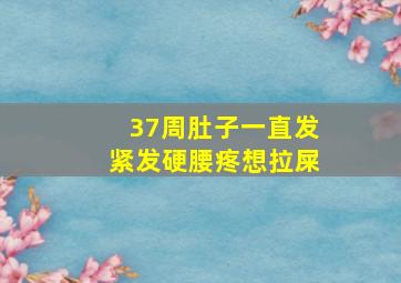 37周肚子一直发紧发硬腰疼想拉屎