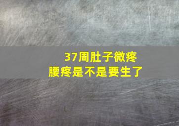 37周肚子微疼腰疼是不是要生了