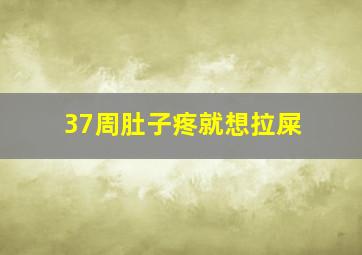 37周肚子疼就想拉屎