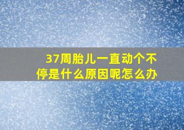 37周胎儿一直动个不停是什么原因呢怎么办