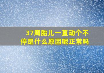 37周胎儿一直动个不停是什么原因呢正常吗