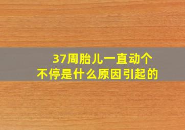 37周胎儿一直动个不停是什么原因引起的