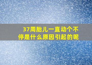 37周胎儿一直动个不停是什么原因引起的呢