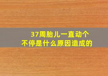 37周胎儿一直动个不停是什么原因造成的