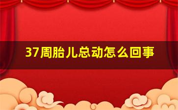 37周胎儿总动怎么回事