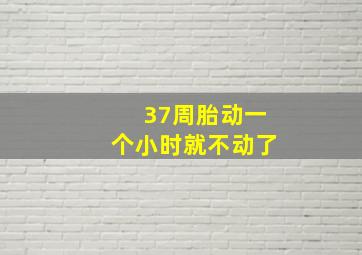 37周胎动一个小时就不动了