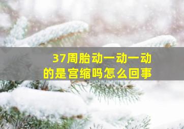 37周胎动一动一动的是宫缩吗怎么回事