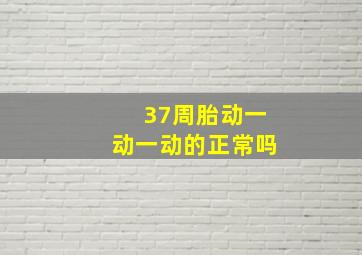 37周胎动一动一动的正常吗