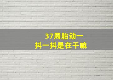 37周胎动一抖一抖是在干嘛