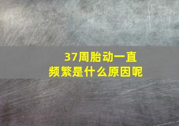 37周胎动一直频繁是什么原因呢