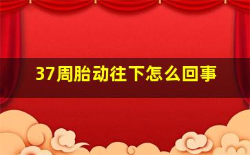 37周胎动往下怎么回事