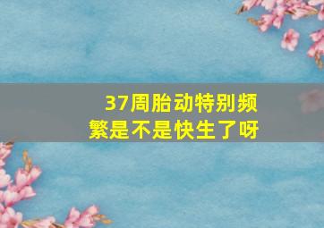 37周胎动特别频繁是不是快生了呀