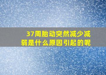 37周胎动突然减少减弱是什么原因引起的呢