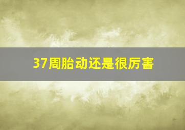 37周胎动还是很厉害