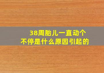 38周胎儿一直动个不停是什么原因引起的