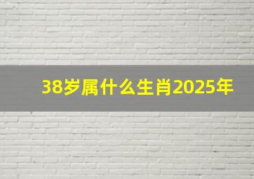 38岁属什么生肖2025年