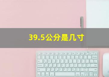 39.5公分是几寸