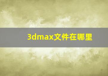 3dmax文件在哪里